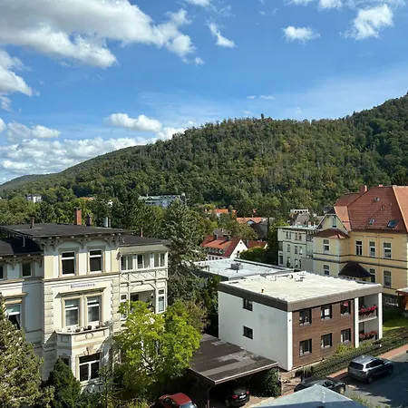 Lägenhet Hyggeliving - Neu - Luxus - - Bergblick - 3 Balkone - Parken - 100qm Bad Harzburg